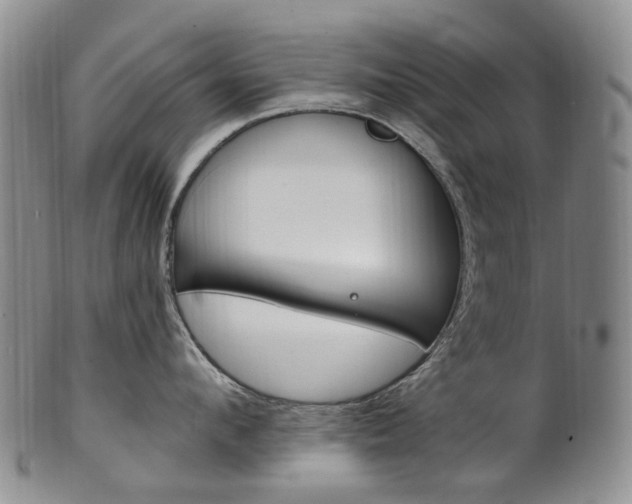 X0000101650912200807100937