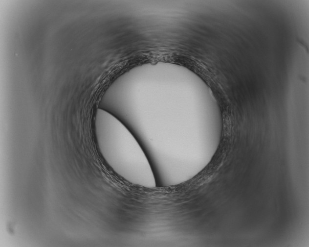 X0000101650913200807100936