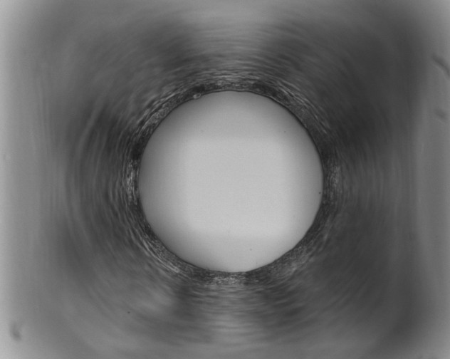 X0000101650914200807100936