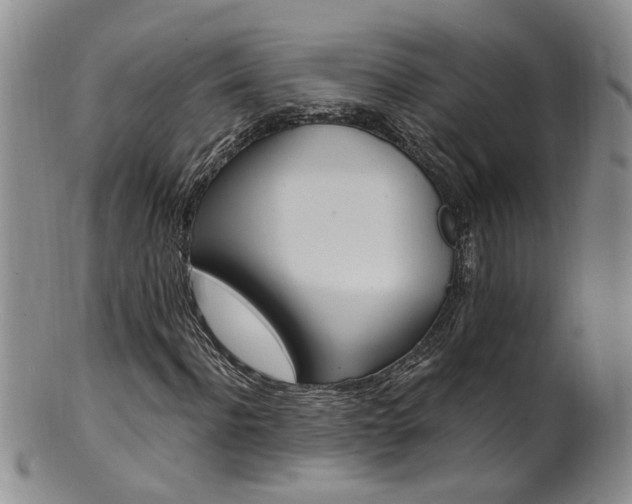 X0000101650916200807100936