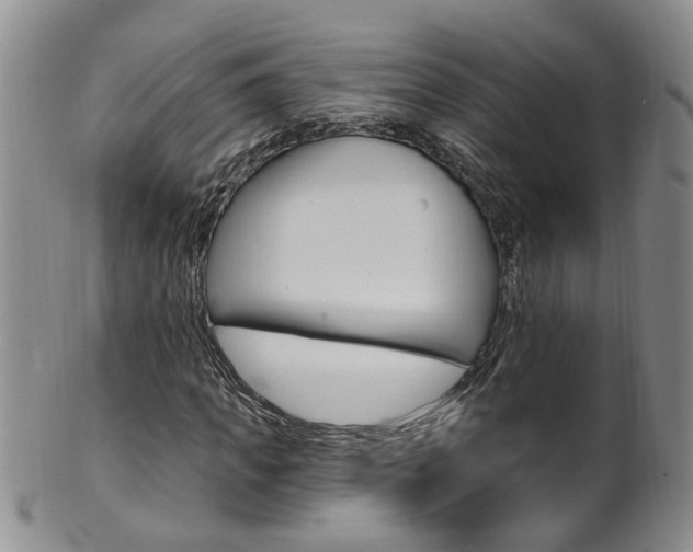 X0000101650917200807100936