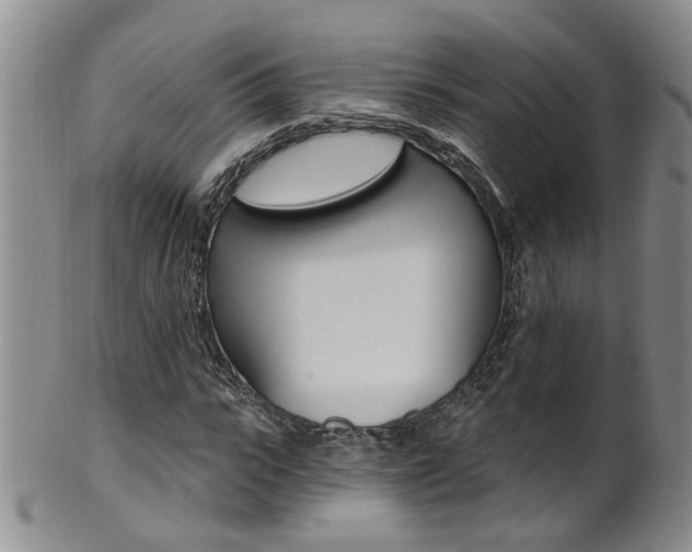 X0000101650919200807100936