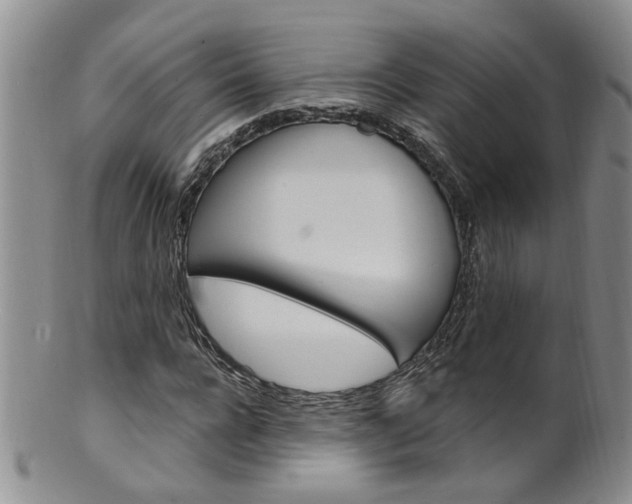 X0000101650920200807100936