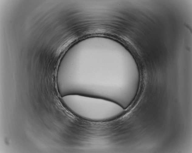 X0000101650921200807100936