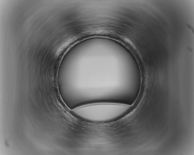 X0000101650922200807100936