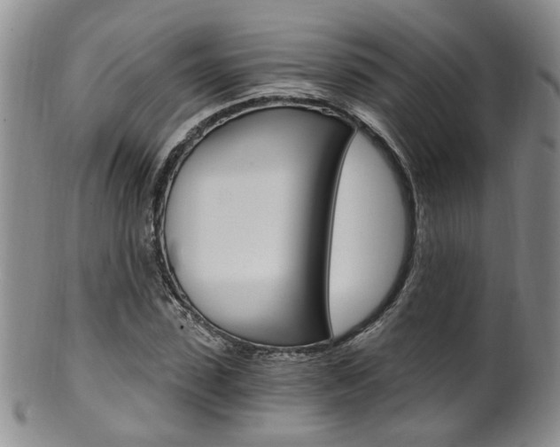 X0000101650923200807100936