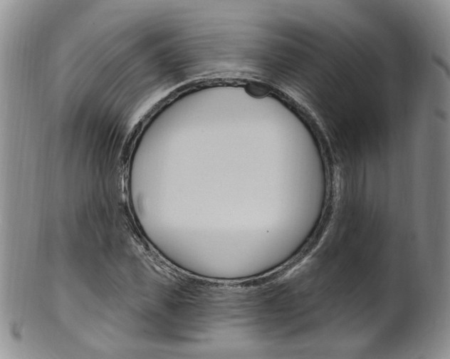 X0000101650925200807100936