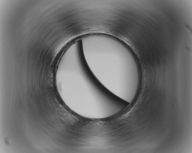 X0000101650926200807100936
