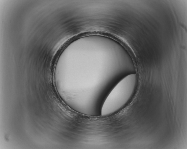 X0000101650927200807100936