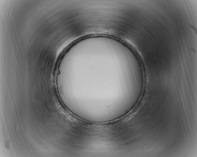 X0000101650928200807100936