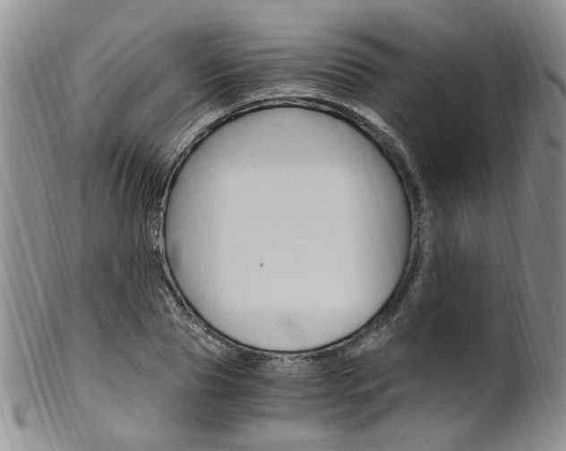 X0000101650929200807100936