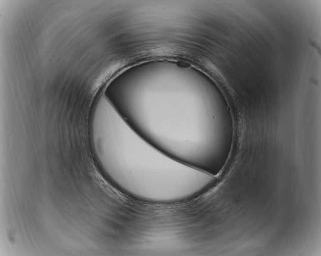 X0000101650930200807100936