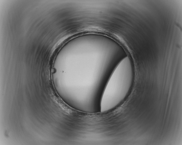 X0000101650931200807100936
