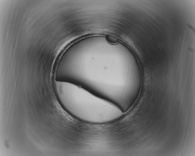 X0000101650932200807100936