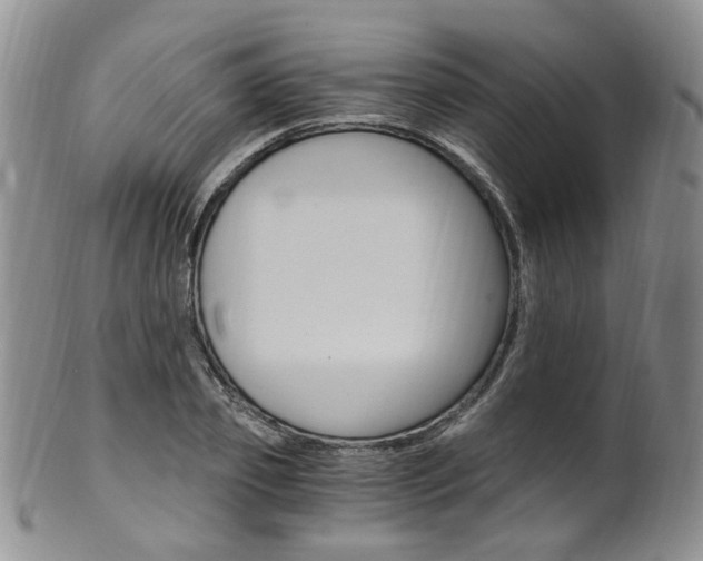 X0000101650933200807100936