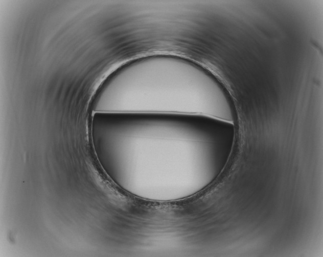 X0000101650934200807100936