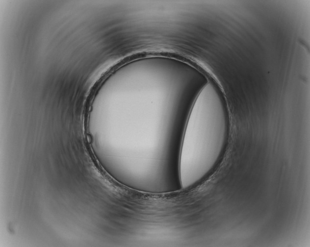 X0000101650935200807100936