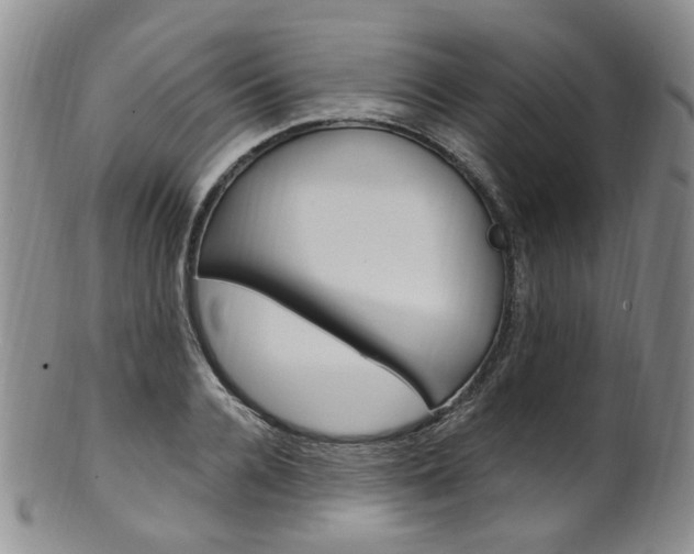 X0000101650936200807100936