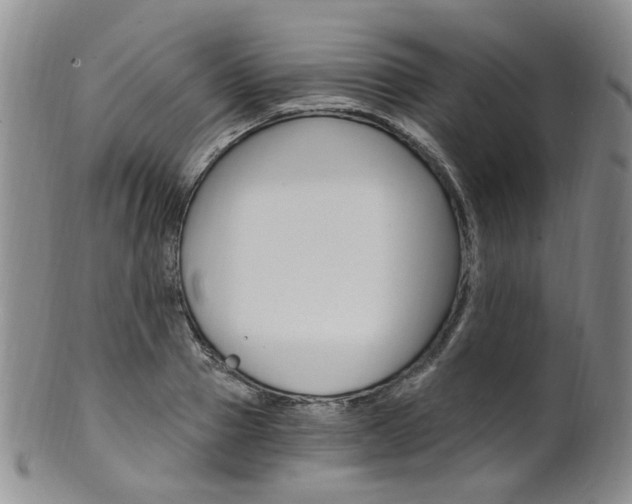 X0000101650937200807100936