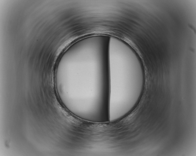 X0000101650939200807100936