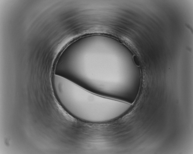 X0000101650942200807100936
