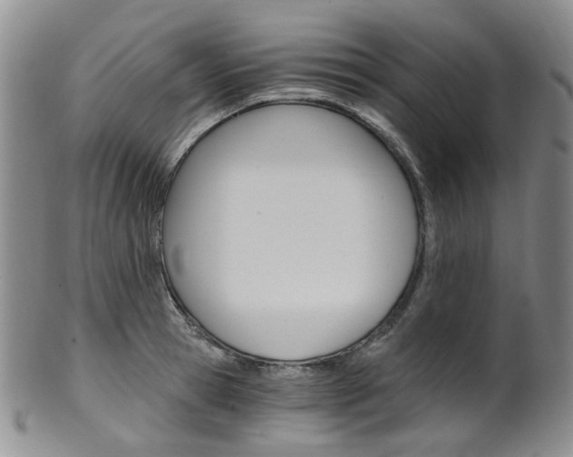 X0000101650945200807100936