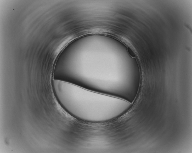 X0000101650946200807100936