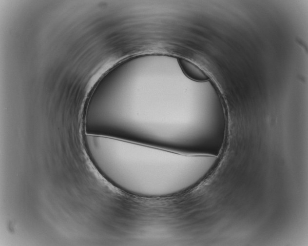 X0000101650949200807100936