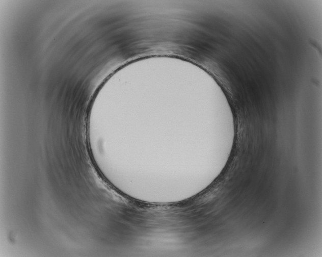 X0000101650950200807100937