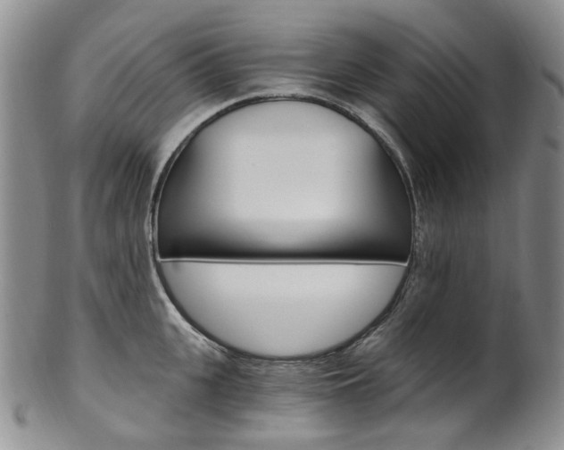 X0000101650951200807100937