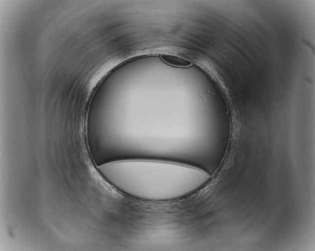 X0000101650952200807100937
