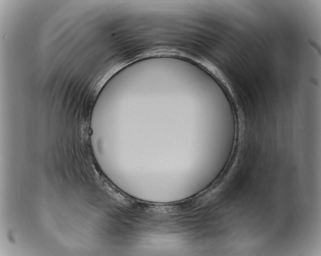 X0000101650953200807100937