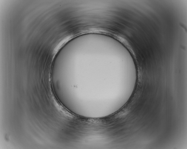 X0000101650954200807100937