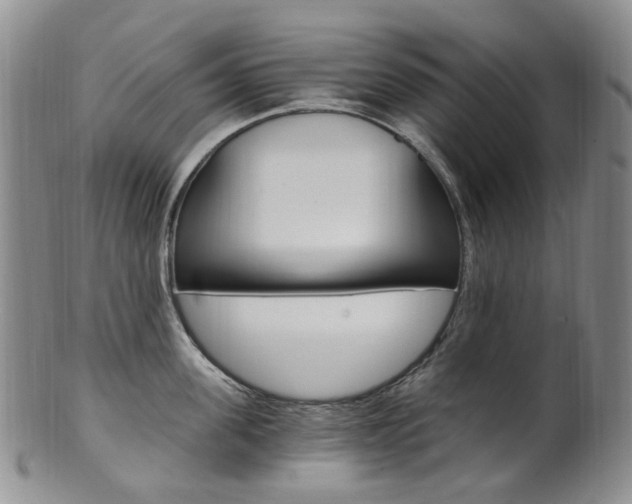 X0000101650955200807100937