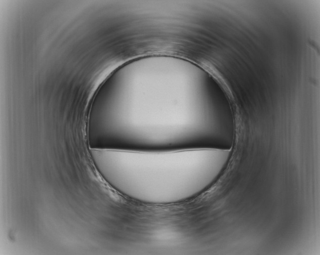 X0000101650956200807100937
