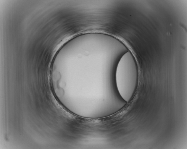 X0000101650957200807100937