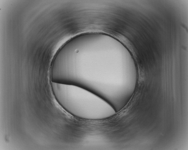 X0000101650958200807100937