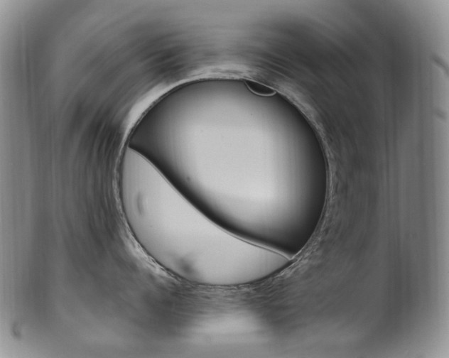 X0000101650960200807100937