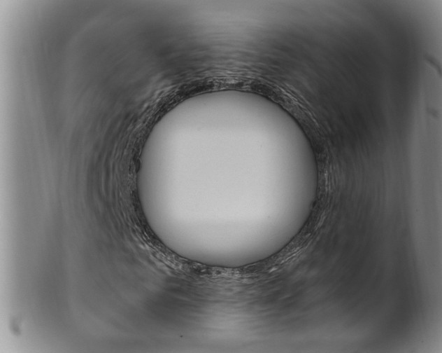 X0000101650961200807100936