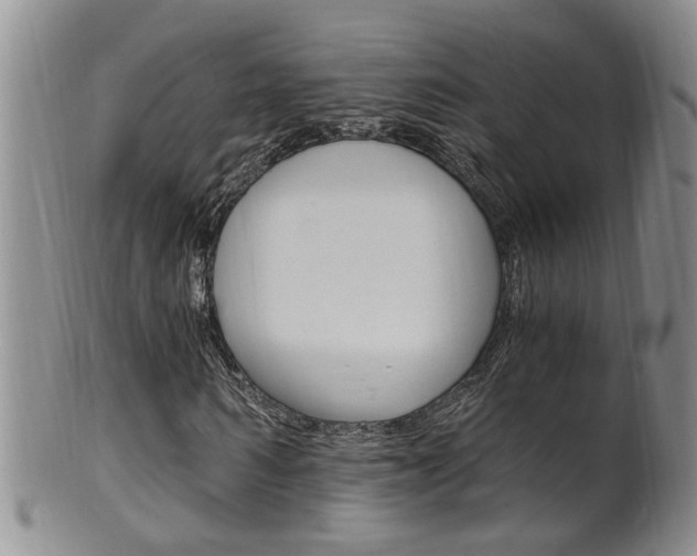 X0000101650962200807100936