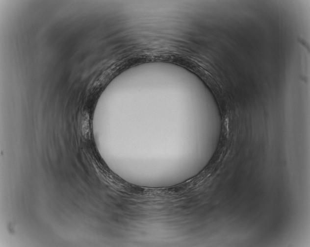 X0000101650963200807100936