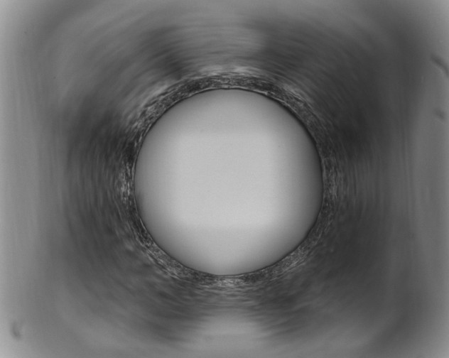 X0000101650966200807100936