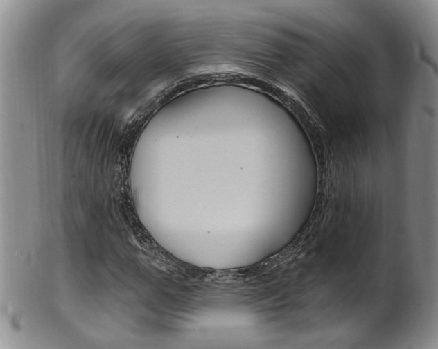 X0000101650967200807100936