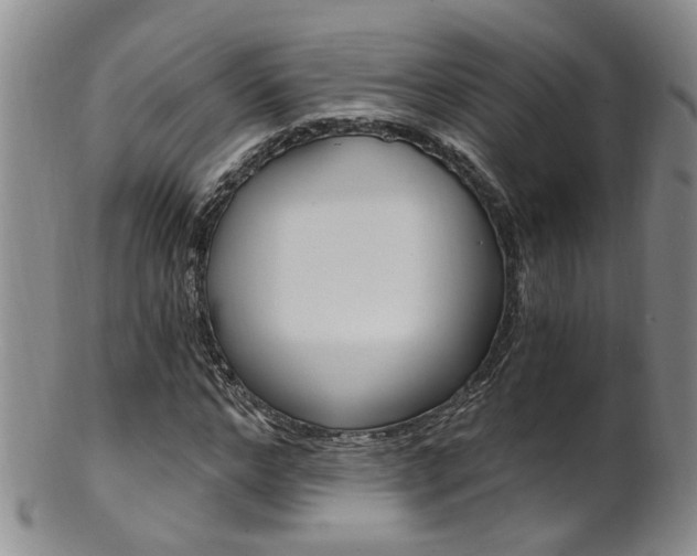 X0000101650968200807100936