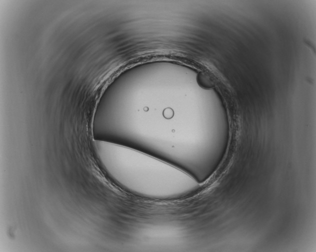 X0000101650969200807100936