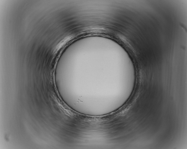 X0000101650970200807100936