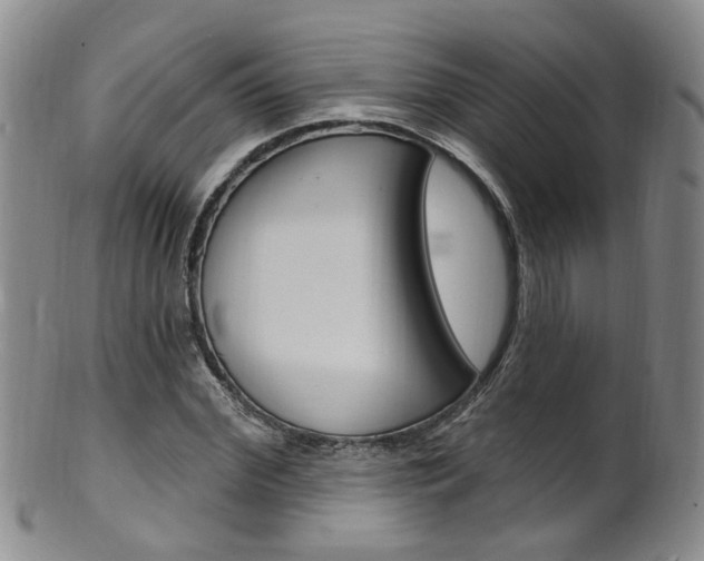 X0000101650972200807100936
