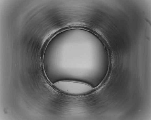 X0000101650973200807100936
