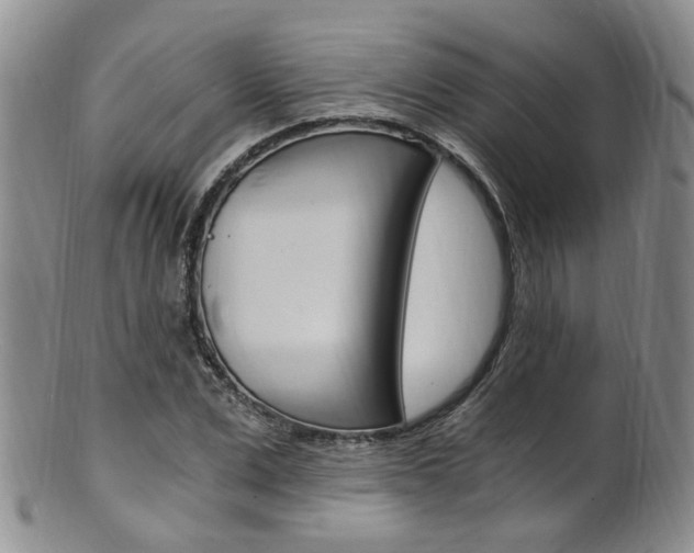 X0000101650975200807100936