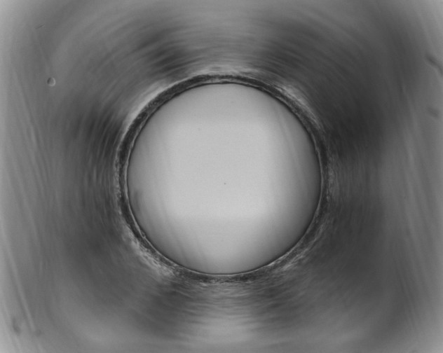 X0000101650976200807100936